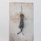 Hello Honey® 11" Gray Handmade Cotton Velvet Squid Ornament